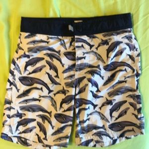 Crewcuts Swim Trunks 4t